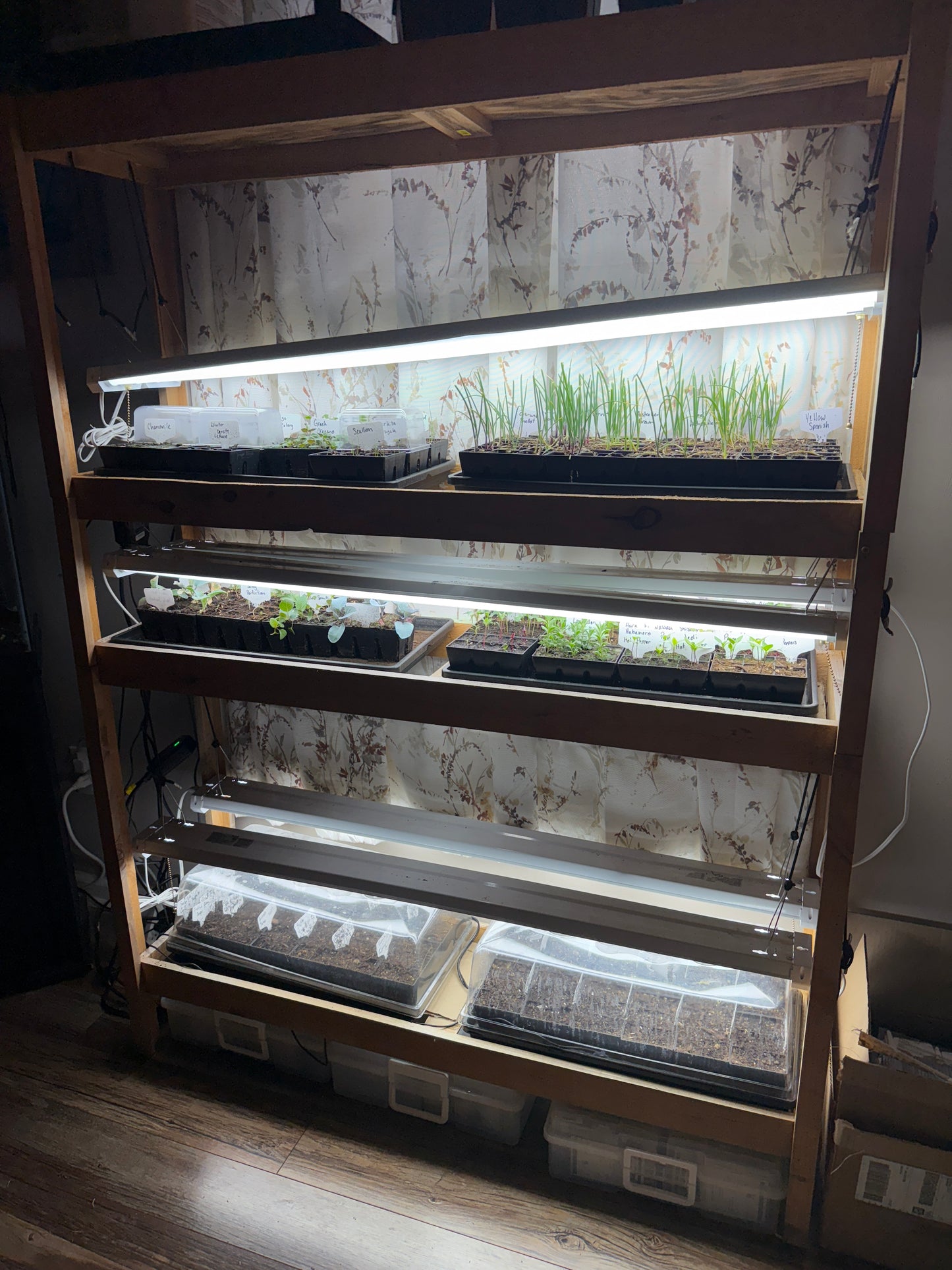 Seed Starting Station DIY Plans