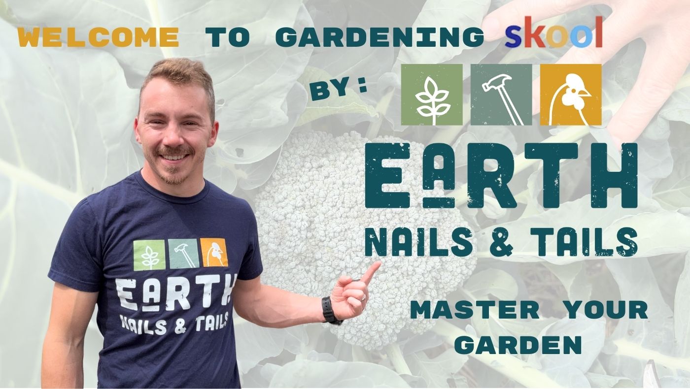 The Kitchen Garden Bundle