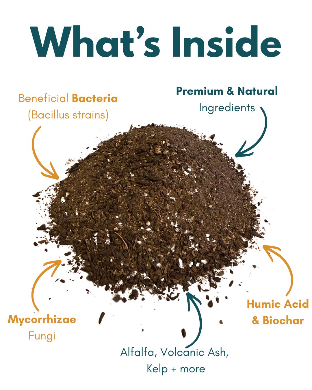 TriSynergi 6-3-3.5 Biological Garden Fertilizer with Mycorrhizae + Beneficial Bacteria (3 lb)