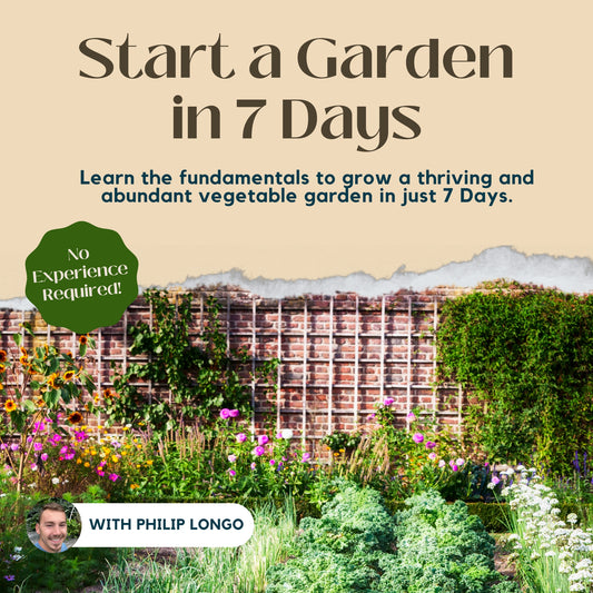 Gardening Course - Start a Garden in 7 Days | 50% OFF this Fall!