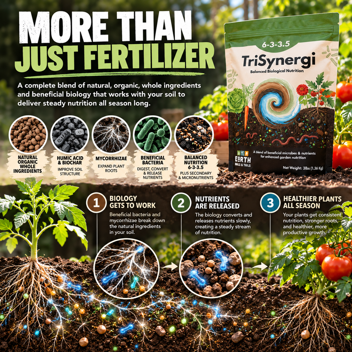TriSynergi 6-3-3.5 Biological Garden Fertilizer with Mycorrhizae + Beneficial Bacteria (3 lb)